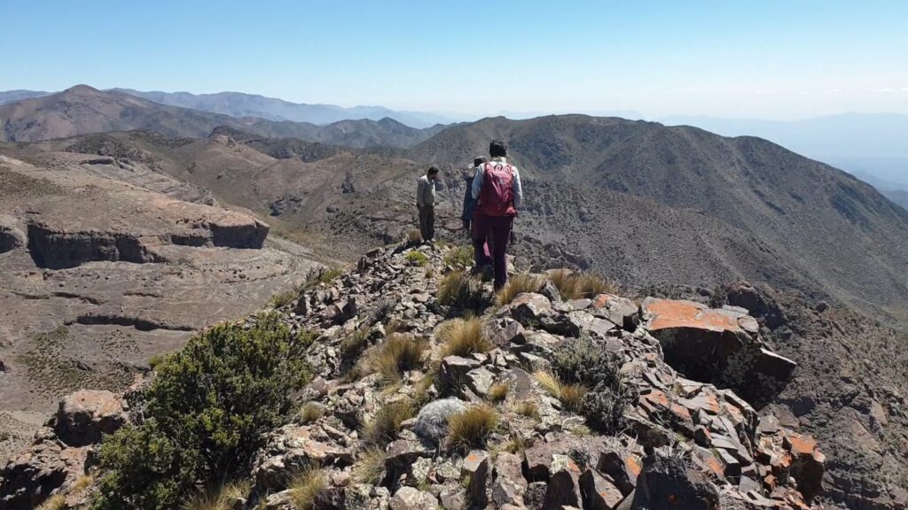 Son diversos los proyectos de investigación que se llevan adelante en la Reserva, enmarcados en nuestro PG, gracias al trabajo interinstitucional